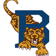 Bellville Tygers logo